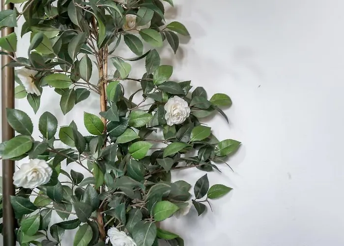 Un'angolo Incantato Florence